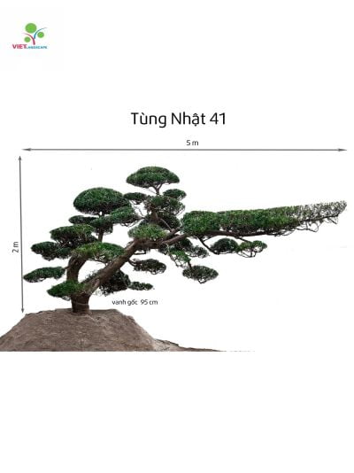 Tùng Nhật 41